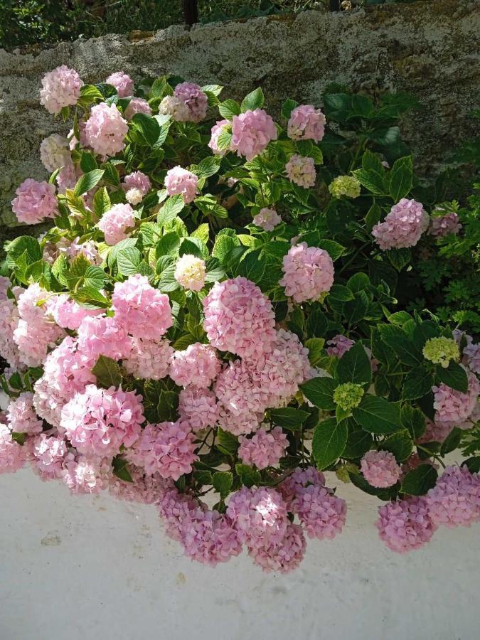 Sarandë Rosemary House旅馆 外观 照片