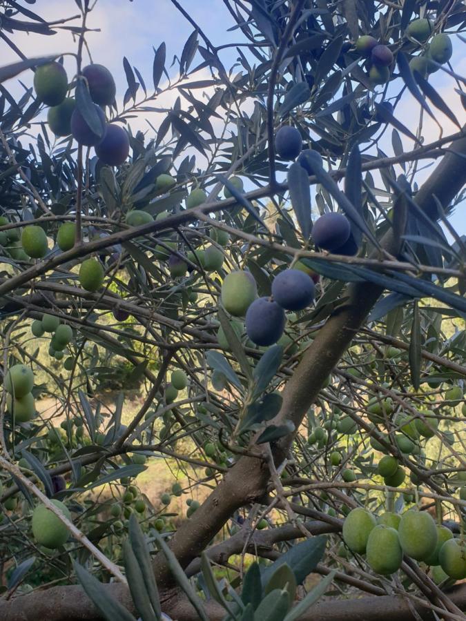 Sarandë Rosemary House旅馆 外观 照片